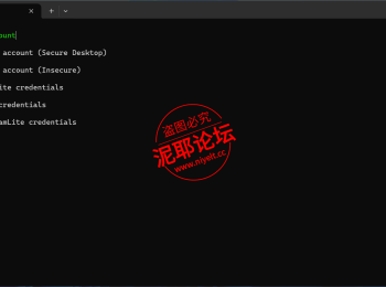steam游戏D加密授权工具SteamLite_2.6.6_x64-Steam006